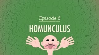 Homunculus Crash Course Psychology 6 [upl. by Innob364]