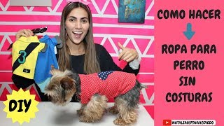 COMO HACER ROPA PARA PERRO  DIY  MASCOTAS [upl. by Kellsie]