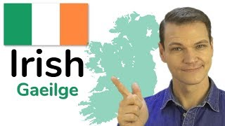 The Irish Language Gaelic [upl. by Aiuqenehs784]