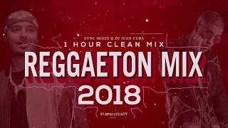 Reggaeton 2018 Clean Mix  1 hour Only hits [upl. by Novj]