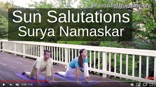 Sivananda Yoga  Sun Salutations Surya Namaskar  the perfect warmup exercise [upl. by Pattison378]