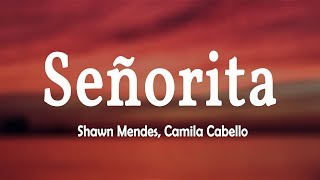 Shawn Mendes Camila Cabello  Señorita Lyrics Video [upl. by Ydur]