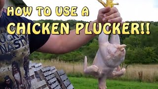 How To Pluck A Chicken In 20 Seconds Chicken Plucker [upl. by Leclair796]