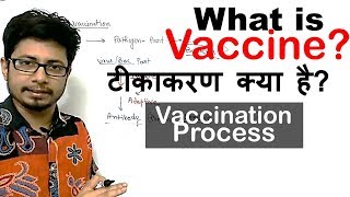 What is vaccination  vaccine kya hai  How vaccines work [upl. by Elimaj235]