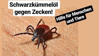 Schwarzkümmelöl gegen Zecken  für Mensch und Tier  NICHT BEI KATZEN anwenden [upl. by Sella]