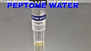 PEPTONE WATER  MICROBIOLOGY [upl. by Repohtsirhc]