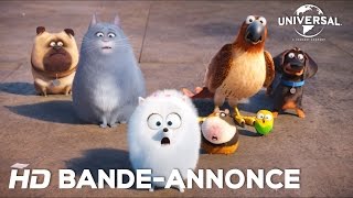 Comme Des Bêtes BandeAnnonce 2 Universal Pictures [upl. by Morty]