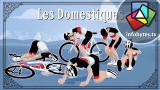 The Tour De France Explained in Animation [upl. by Rashida762]