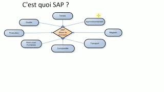 SAP  MODULE 1  SAP cest quoi [upl. by Meingolda]