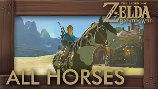 Zelda Breath of the Wild  All Horses [upl. by Hebe876]