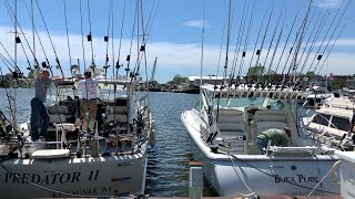 Salmon Fishing Lake Michigan Predator Charter Services amp Black Pearl Sport Fishing [upl. by Hajan]