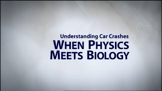 Understanding Car Crashes When Physics Meets Biology [upl. by Talie]