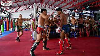 Muay Thai Stars Sparring at YOKKAO  Enjoy the Madness [upl. by Norry]