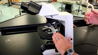 Tour of the Nikon microscope [upl. by Akeber686]