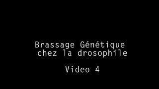 Cours 4 Brassage Génétique [upl. by Saturday]