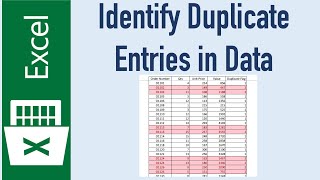 Find Duplicate Entries in Excel [upl. by Atikan]