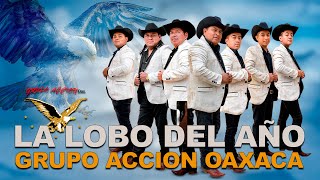 La Lobo Del Año  Grupo Acción Oaxaca [upl. by Dempsey]