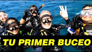 4 Tips Para que tu Primer Buceo sea un Éxito [upl. by Deuno]