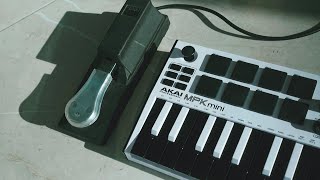 Akai MPK Mini amp Ableton Looping Performance Tutorial [upl. by Reitman919]