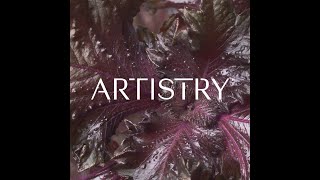 Meet the Artistry™ Brand  Skin Nutrition  Amway [upl. by Temple]