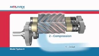 Screw Compressor Principle Mouvex Overview [upl. by Naimaj]