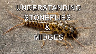 Understanding Stoneflies amp Midges with Tom Rosenbauer [upl. by Durarte508]