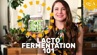 Fermentation 101 Guide to Lacto Fermenting Foods [upl. by Dorahs]