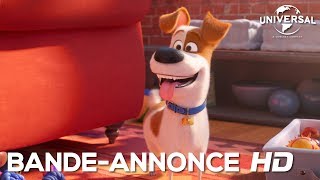 Comme Des Bêtes 2  bandeannonce 1 Universal Pictures HD [upl. by Adahsar489]