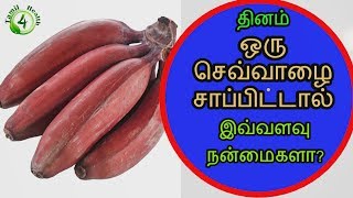 தினம் ஒரு செவ்வாழை சாப்பிட்டால் benefits of red banana in tamil [upl. by Rosina]