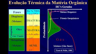 Geologia do Petróleo Aula 03 Geoquímica do Petróleo [upl. by Jeffrey]