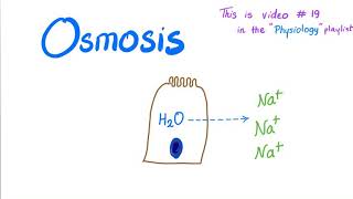 Osmosis  Physiology [upl. by Fleurette839]