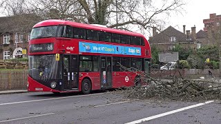 Storm Eunice chaos in London [upl. by Latihs]