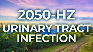 2050Hz Music Therapy for Urinary Tract Infection UTI  40Hz Binaural Beat  Healing Calming [upl. by Aneetsyrk176]