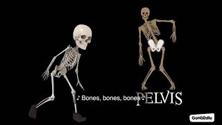 Bones Bones Bones [upl. by Latrena]