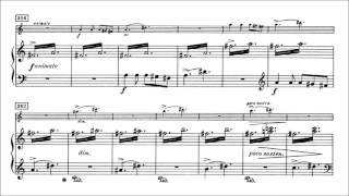 Edvard Grieg  Violin Sonata No 3 Op 45 With score [upl. by Adelind9]