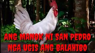 Ang Manok ni San Pedro by Max Surban [upl. by Aitrop]