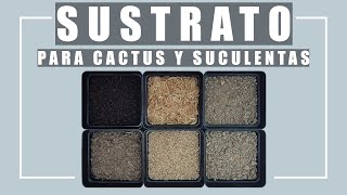 COMO PREPARAR SUSTRATO PARA CACTUS Y SUCULENTAS [upl. by Sato]