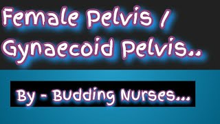 Female pelvis Gynaecoid pelvis  Pelvis  Practical Exams  Obstetrics [upl. by Cherida]