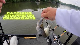 Catching Crappie On Crankbaits  May 22 2021 31 [upl. by Gilus]