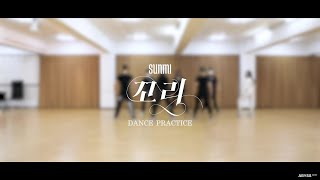 Choreography Practice 선미SUNMI  꼬리TAIL 안무 연습 영상 [upl. by Matrona]