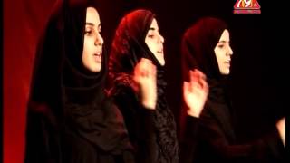 Ya Hussain Hussain Hashim Sisters New 201314 Noha [upl. by Donnell]