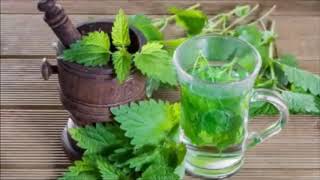 Nettle Tea Benefits and Warnings [upl. by Hanad]