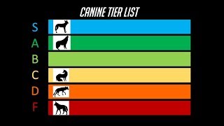 The Dog Tier List [upl. by Rutger862]