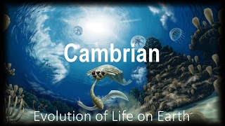 The Evolution of Life part 2  Cambrian [upl. by Carol-Jean]