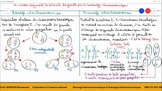 3Le brassage intrachromosomique et le brassage interchromosomique [upl. by Netsriik153]