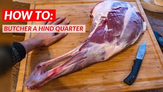 How To Butcher a DEER Hind Quarter [upl. by Ahsenrac]