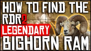 HOW TO FIND THE LEGENDARY BIGHORN RAM AND GET A PERFECT HIDE  RED DEAD REDEMPTION 2  LOCATION [upl. by Gnort]