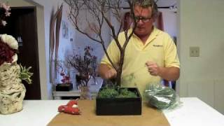 Manzanita Branch Centerpieces HowTo 1 [upl. by Daahsar181]