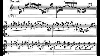 JS Bach Chromatic Fantasia and Fugue in d minor BWV 903 Schiff [upl. by Nyvets431]