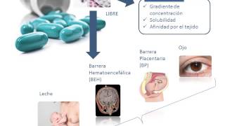 Tema 3 FARMACOCINÉTICA Distribución [upl. by Etterrag680]